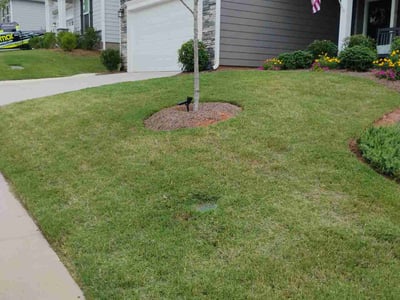 Lawn care service in Greenville, 29607