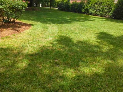 Lawn care service in Monroe, 28110