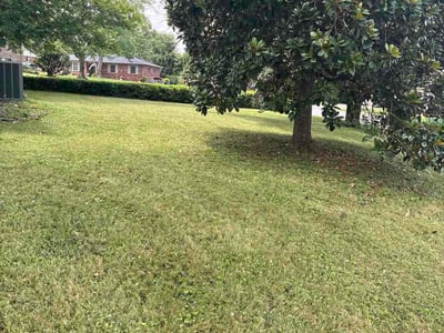 Lawn care service in Hopkinsville, 42240