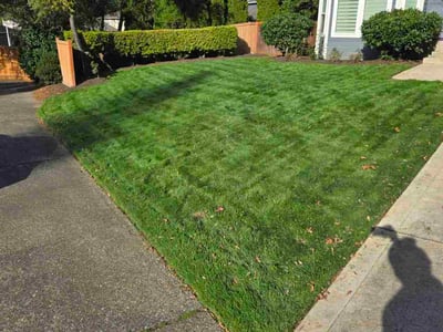 Lawn care service in Bothell, 98021
