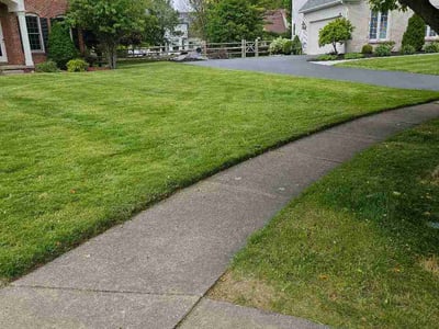 Lawn care service in Perrysburg, 43551