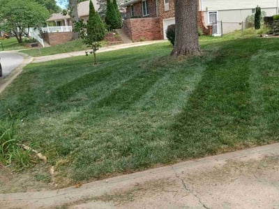 Lawn care service in Kansas City, 66109