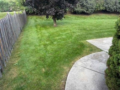 Lawn care service in Cary, 60013