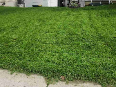 Lawn care service in Lancaster, 17603