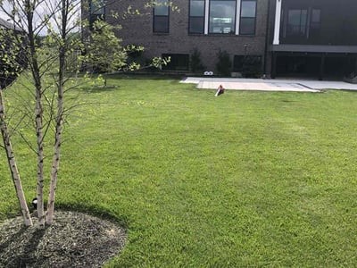 Lawn care service in SUGARCRK Township, 45458
