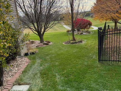 Lawn care service in Omaha, 68116