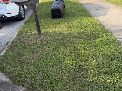 Lawn care service in Pinellas Park, 33781