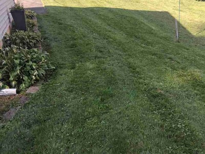 Lawn care service in Hamden, 06518