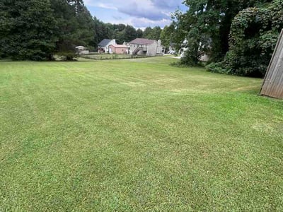 Lawn care service in Temple, 30179