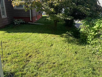Lawn care service in East Providence, 02916