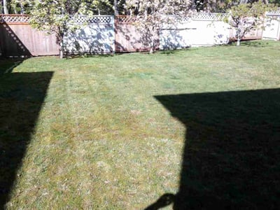 Lawn care service in Bellingham, 98226