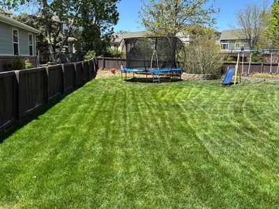 Lawn care service in Broomfield, 80023
