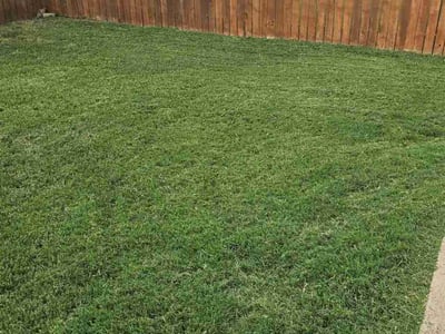 Lawn care service in Temple, 76502
