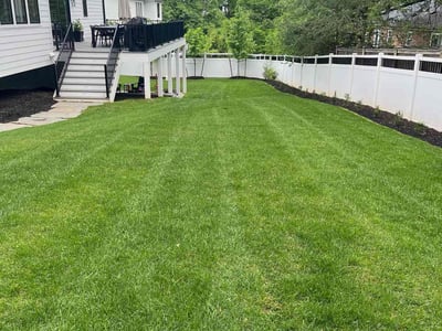 Lawn care service in McLean, 22101