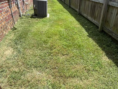 Lawn care service in Fayetteville, 72704