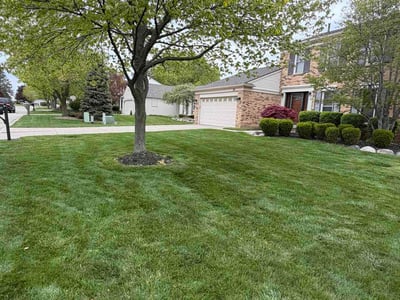 Lawn care service in Rochester Hills, 48307