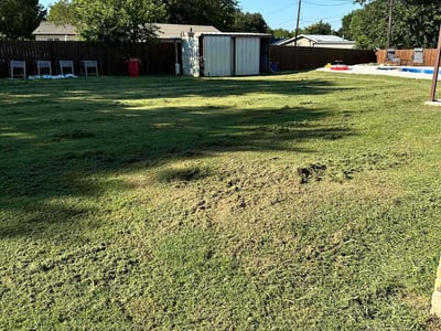 Lawn care service in Lorena, 76655
