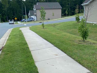 Lawn care service in Raleigh, 27603