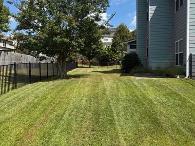 Lawn care service in Greer, 29651