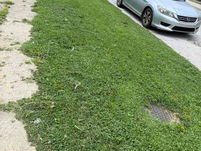 Lawn care service in Indianapolis, 46202