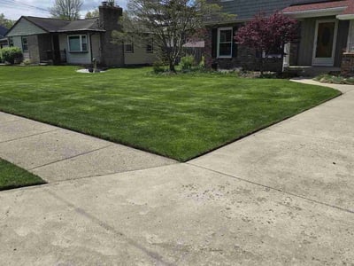 Lawn care service in Wyoming, 49519