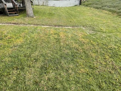 Lawn care service in Denver, 80239