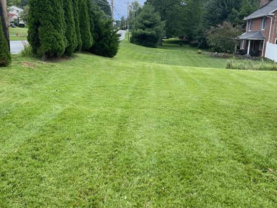 Lawn care service in Lancaster, 17601