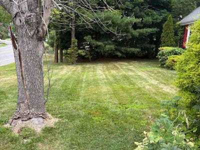 Lawn care service in Portland, 04102