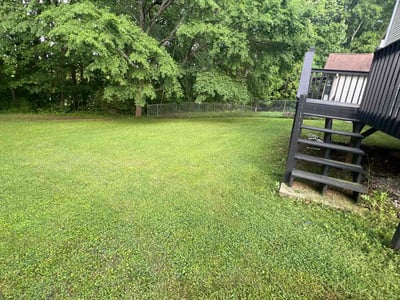 Lawn care service in Madison, 35758