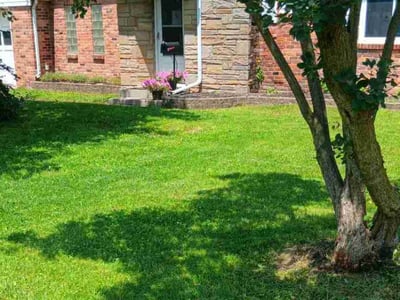 Lawn care service in Toledo, 43613