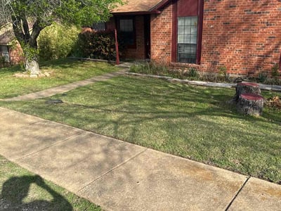 Lawn care service in Dallas, 75249