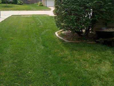 Lawn care service in Omaha, 68144