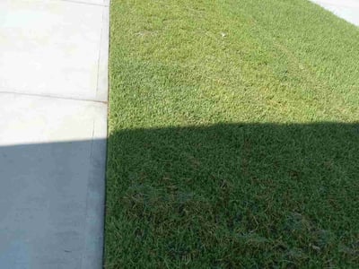 Lawn care service in Hockley, 77447