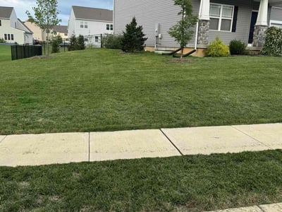 Lawn care service in Mechanicsburg, 17050