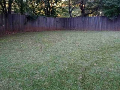 Lawn care service in East Point, 30344