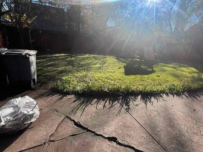 Lawn care service in Dallas, 75206