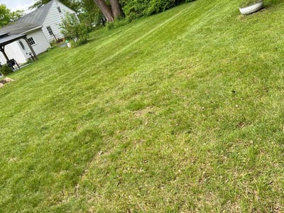 Lawn care service in Meriden, 06450