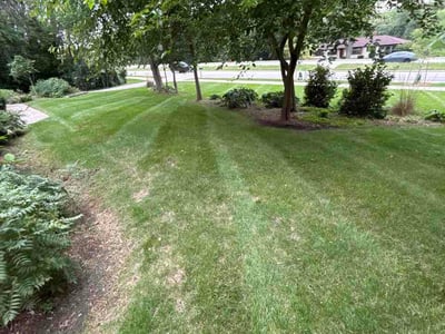 Lawn care service in Brookfield, 53005