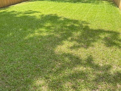 Lawn care service in North Charleston, 29405