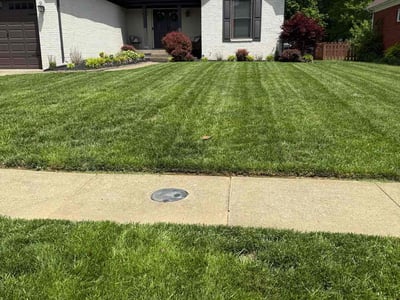 Lawn care service in Louisville, 40245