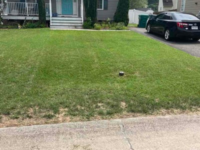 Lawn care service in Richmond, 23228