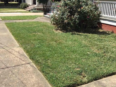 Lawn care service in Little Rock, 72206