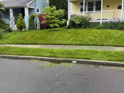 Lawn care service in West Hartford, 06119