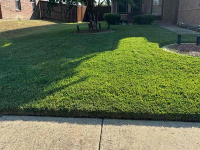 Lawn care service in Hutchins, 75141