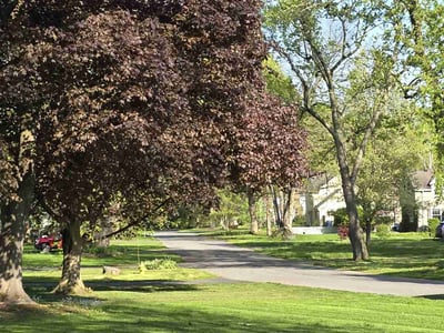 Lawn care service in Rochester, 14618