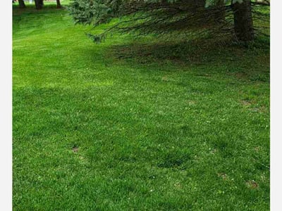 Lawn care service in , 