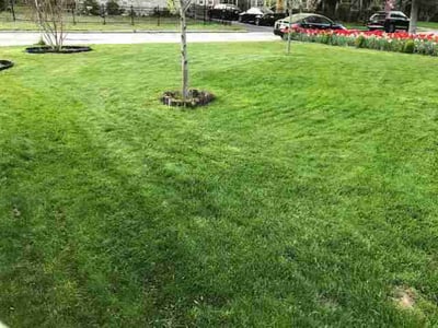 Lawn care service in Belleville, 62221