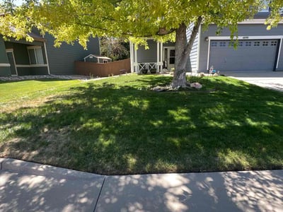 Lawn care service in Littleton, 80130