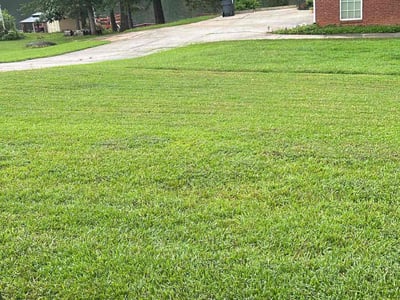 Lawn care service in Ellenwood, 30294