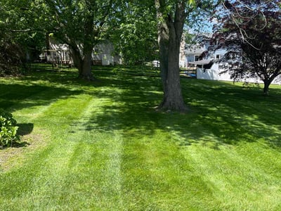 Lawn care service in Lancaster, 17602